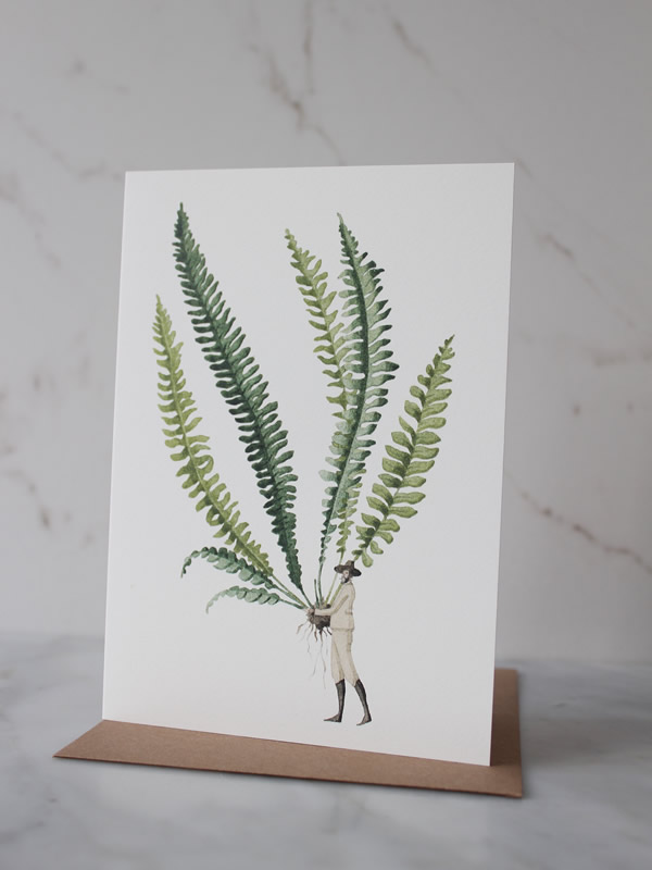 Laura Stoddart Fern 1 Card at Sally Bourne Interiors